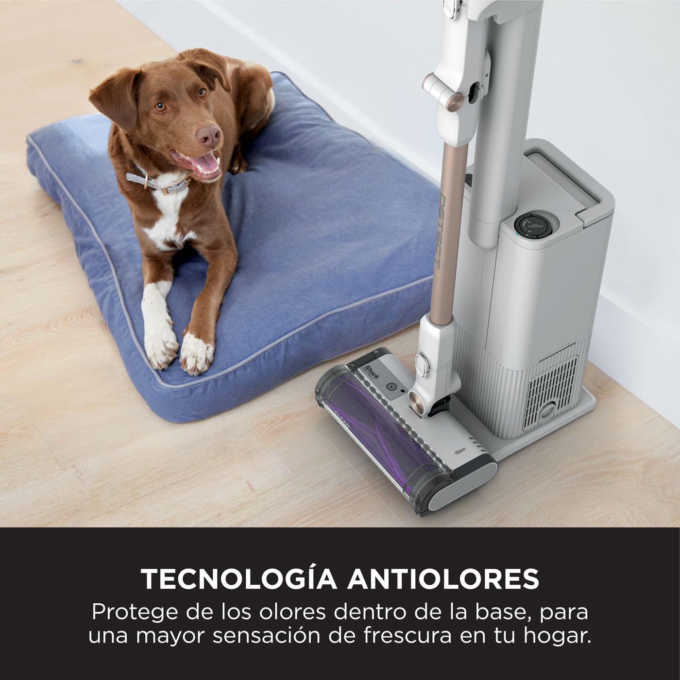 Shark Detect Clean & Empty Cordless Vacuum, 240 W, 2 Liters, 80 Decibeles, Blanco