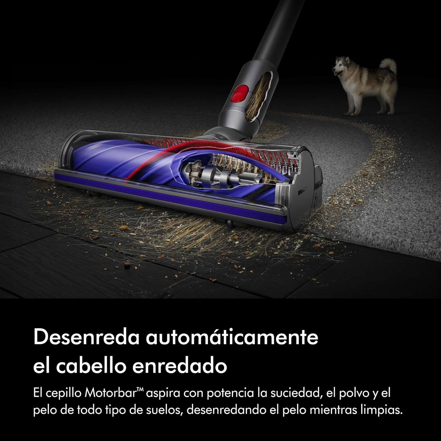Dyson V8 Advanced™ Aspiradora sin Cable – 130 AW, 40 min de autonomía, Cepillo Motorbar con tecnología antienredos, Accesorio multifunción rinconera, Puerto de Carga, Plata/Níquel